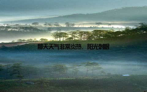 那天天气非常炎热, 阳光刺眼