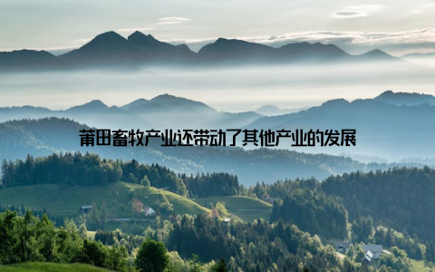 莆田畜牧产业还带动了其他产业的发展