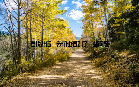 喜悦背后, 我们也看到了一些问题