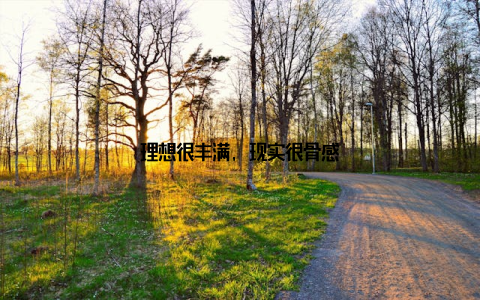 理想很丰满, 现实很骨感