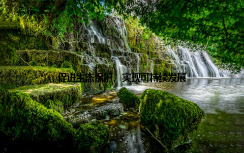 促进生态保护, 实现可持续发展