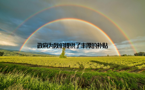 政府为我们提供了丰厚的补贴