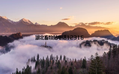 湖北畜牧站电话12316