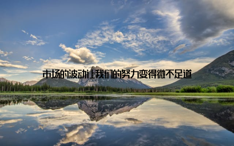 市场的波动让我们的努力变得微不足道