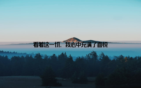 看着这一切, 我心中充满了喜悦