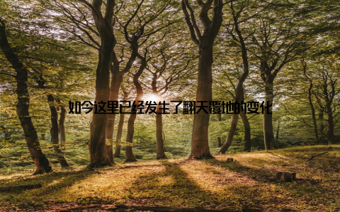 如今这里已经发生了翻天覆地的变化