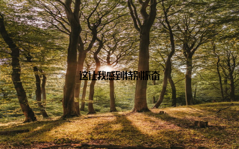 这让我感到特别振奋