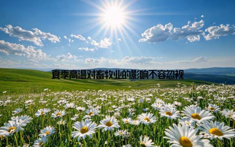 夏季高温对畜牧业的影响不容忽视