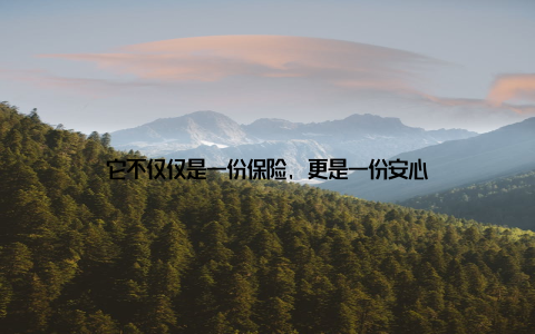 它不仅仅是一份保险, 更是一份安心