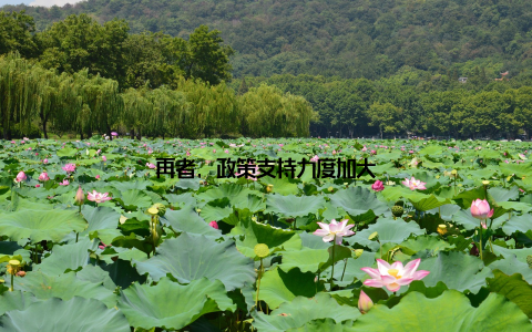 再者, 政策支持力度加大