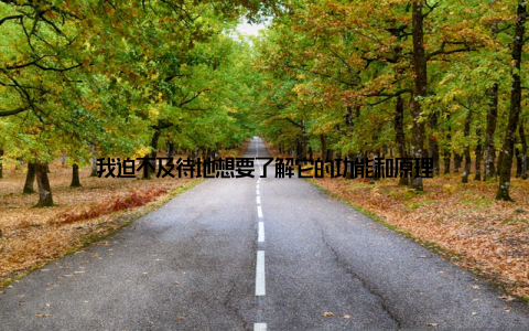 我迫不及待地想要了解它的功能和原理