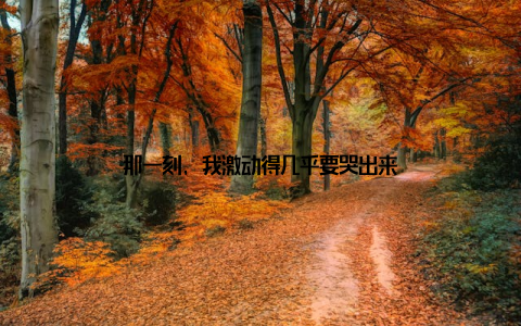 那一刻, 我激动得几乎要哭出来