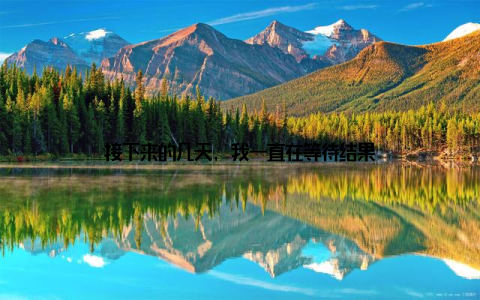 接下来的几天, 我一直在等待结果