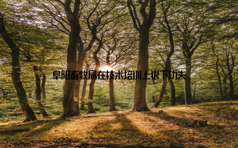 阜阳畜牧局在技术培训上狠下功夫