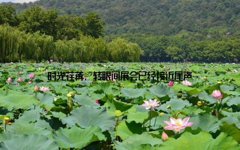 时光荏苒, 转眼间展会已经接近尾声