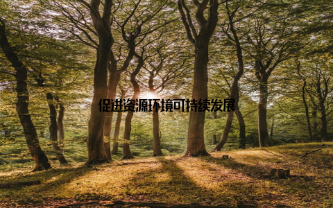 促进资源环境可持续发展