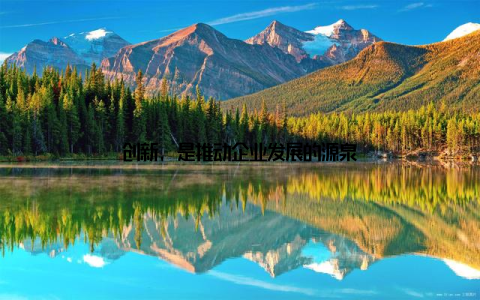 创新, 是推动企业发展的源泉