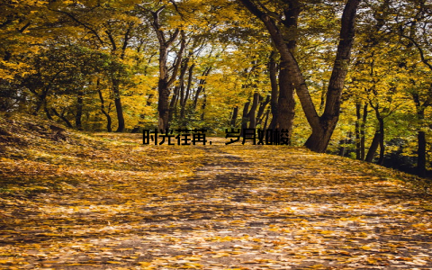 时光荏苒, 岁月如梭