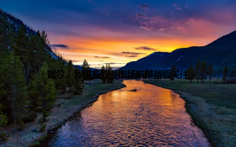 如今, 我国畜牧业市场前景备受关注