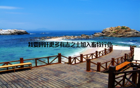 我要呼吁更多有志之士加入畜牧行业