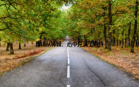 我排队等候, 心中充满了期待