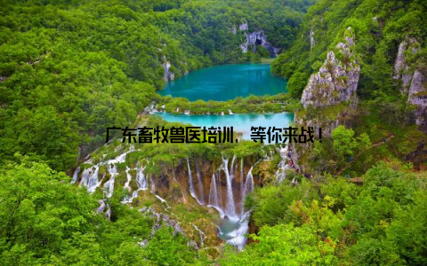 广东畜牧兽医培训, 等你来战!