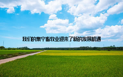 我们的集宁畜牧业迎来了新的发展机遇