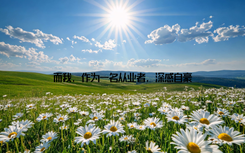 而我, 作为一名从业者, 深感自豪