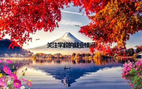 关注学校的就业情况