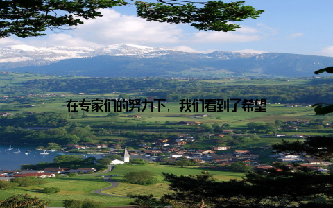 在专家们的努力下, 我们看到了希望