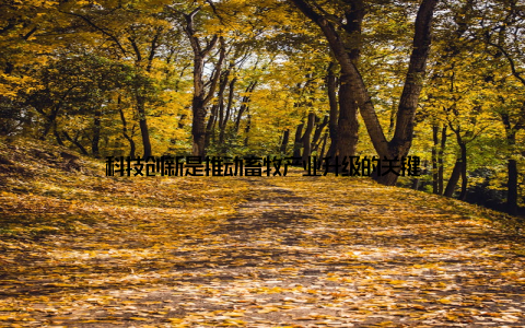 科技创新是推动畜牧产业升级的关键