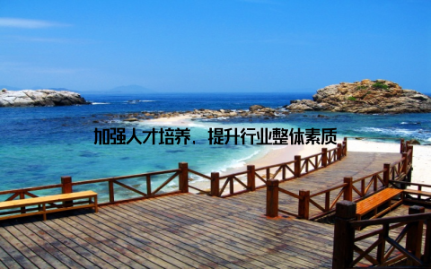 加强人才培养, 提升行业整体素质