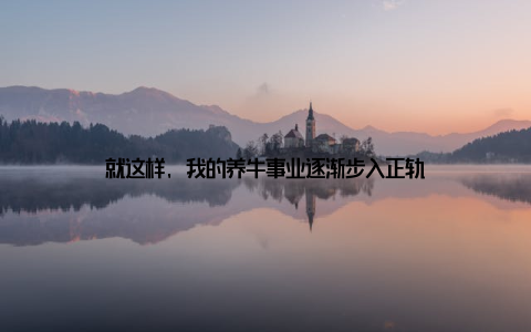 就这样, 我的养牛事业逐渐步入正轨