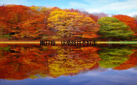 刚开始, 这条路并不好走