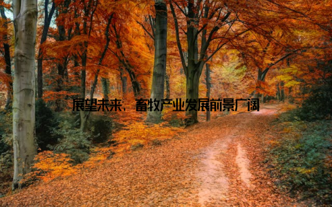 展望未来, 畜牧产业发展前景广阔