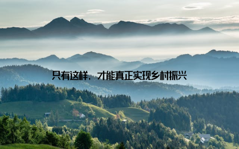 只有这样, 才能真正实现乡村振兴